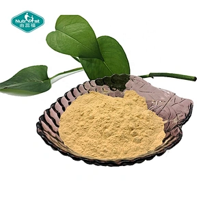 Factory Supplies Organic Monk Fruit Sweetener Extract Powder Luo Han Guo Extract Mogroside V 25% 60%