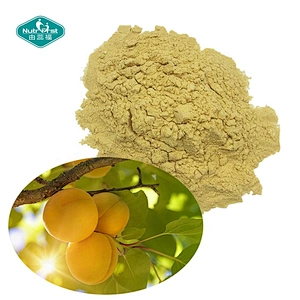 Nutrifirst Organic Food Additives Solid Extraction Spray Dried Extract Apricot Fruit Water Soluble Juice Powder