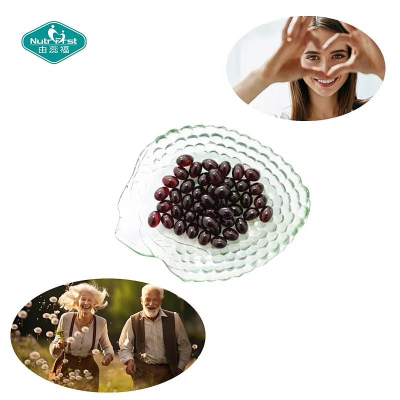 Nutrifirst Custom Customization OEM Supports Improved Vision Helps with Circulation Problems Bilberry Softgel