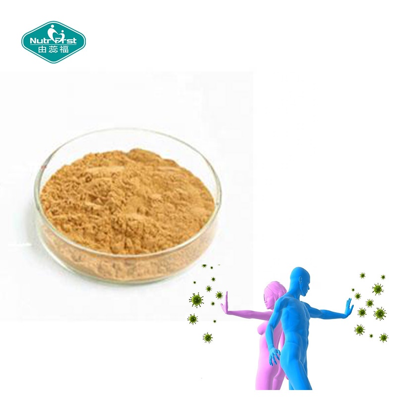 Proveedor de fábrica ISO de China Polvo de extracto de hoja de olivo a granel 40% 70% Extracto de hoja de hidroxitirosol de oleuropeína Oliva