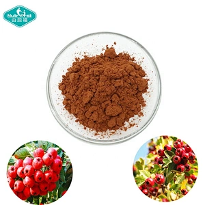 Factory Direct Supply Free Sample Freeze Spray Dried Fruit Flavor Sour Hawthorn Berry Fruit Extract Powder