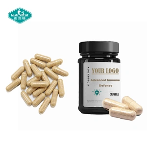 Complejo de hierbas a medida, bayas de saúco, bulbo de ajo, Echinacea Purpurea, cápsula de extracto de pimienta negra para defensa inmunológica