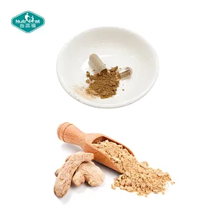 Nutrifirst Custom Customization OEM Help with Weight Loss Improve Digestive Ginger Capsules