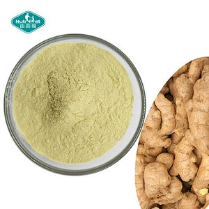 China Manufacturer Supply Organic Ginger Root Extract Powder with Gingerol & Zingiber Officinale