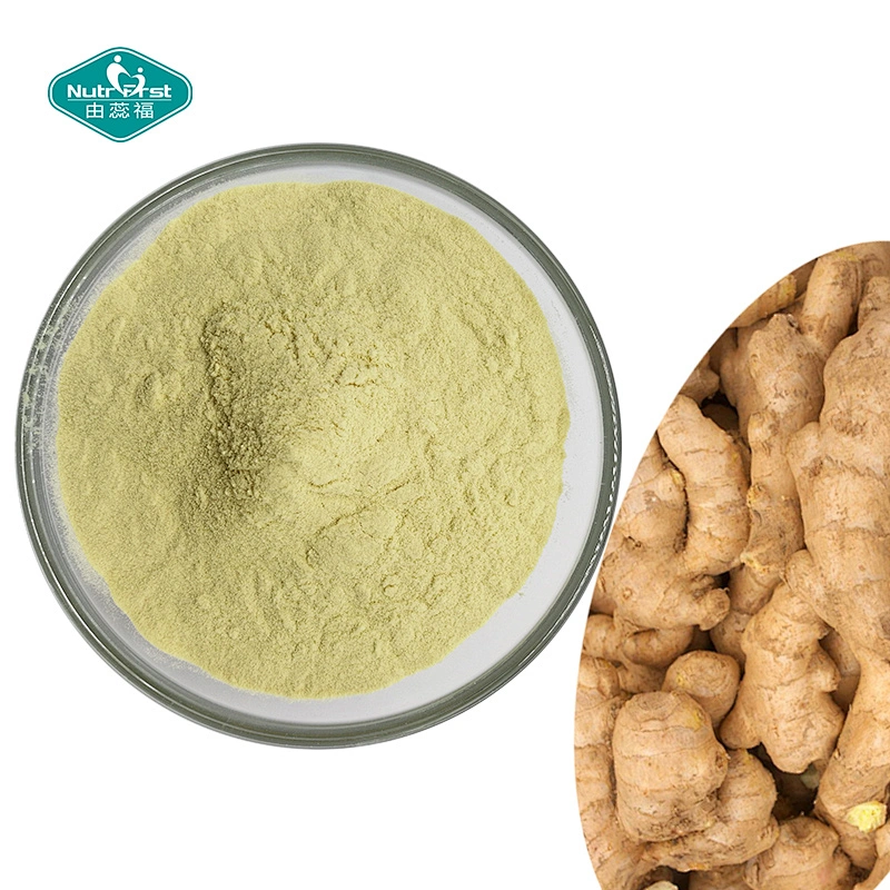 China Manufacturer Supply Organic Ginger Root Extract Powder with Gingerol & Zingiber Officinale