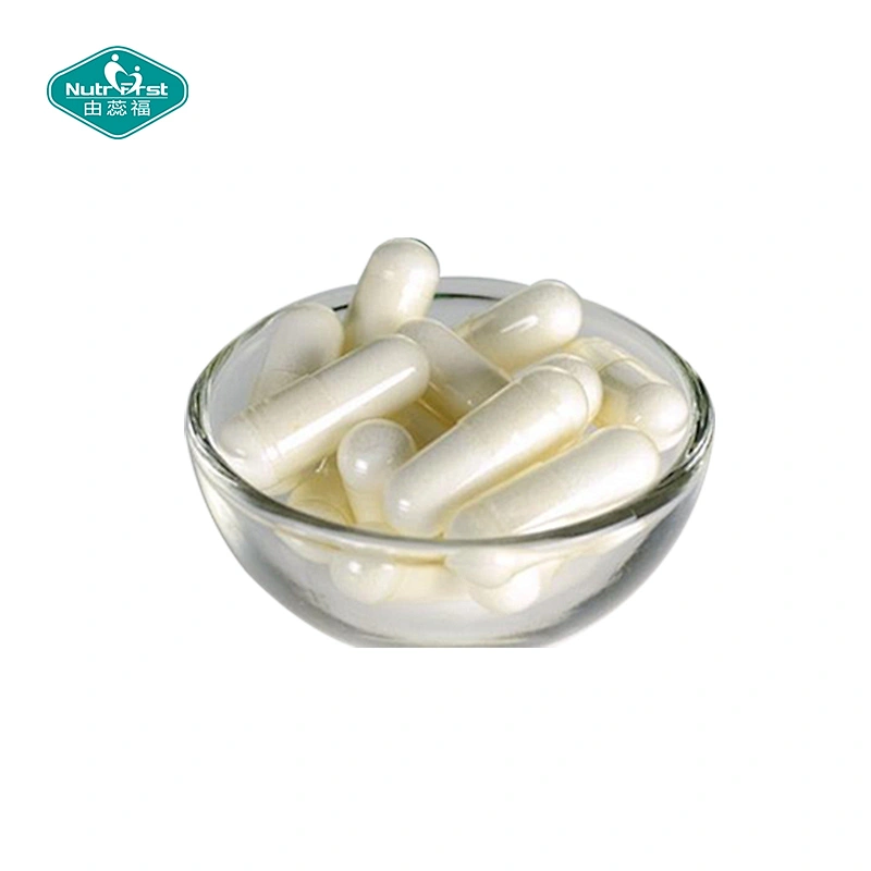 Digestive System Probiotics Supplements 20 Billion CFU Multi-strains Probiotics Capsule with Vitamin C D Zinc