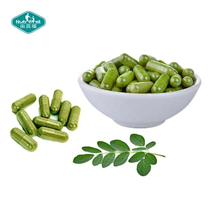 Productos para perder peso Dieta Extracto de hierba delgada Cápsulas de extracto de hoja de Moringa Oleifera Suplemento de hierbas orgánicas