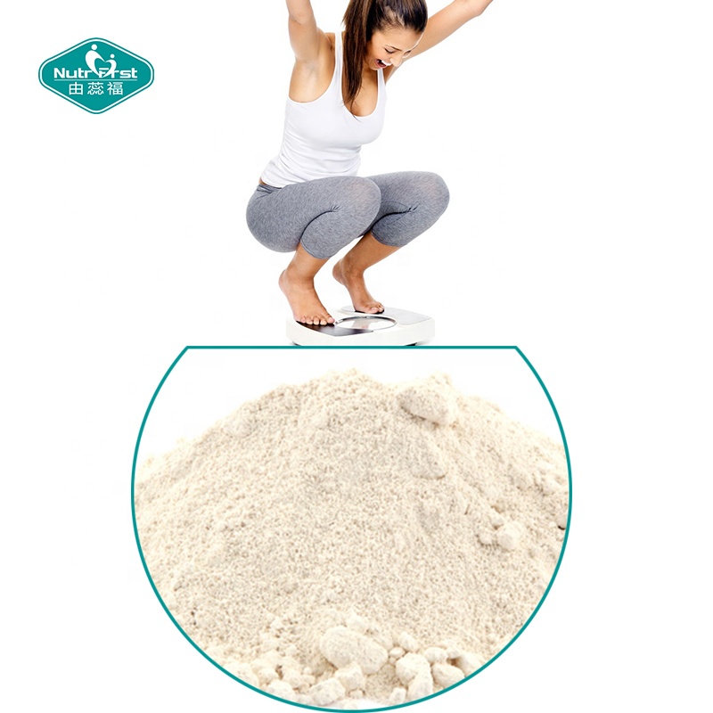 Wholesale Price Bulk Herbs Extarct HCA Garcinia Cambogia Fruit Extract Hydroxycitric Acid HCA 50% 60% 95%