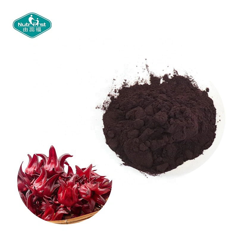 Nutrifirst Pure Roselle Hibiscus Sabdariffa Flower Extract Hibiscus Syriacus Extract Powder with Anthocyanidin