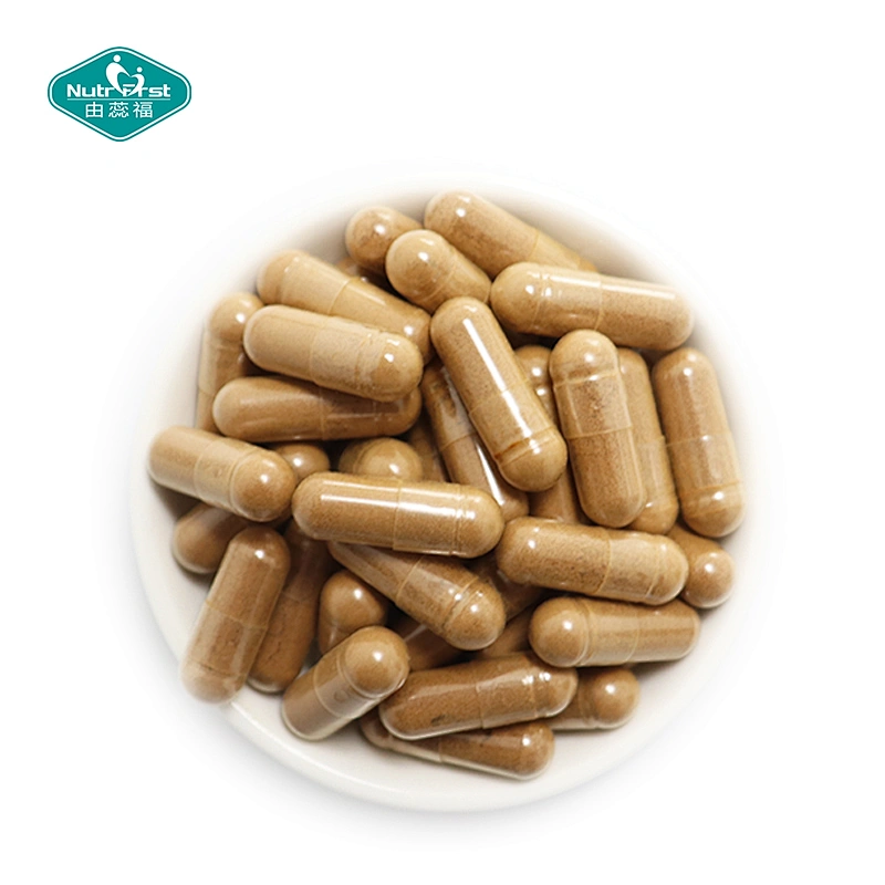 Digestive Health Supplement Herbal Extract Cats Claw Andrographis Garlic Extract Capsule for Gut Flora