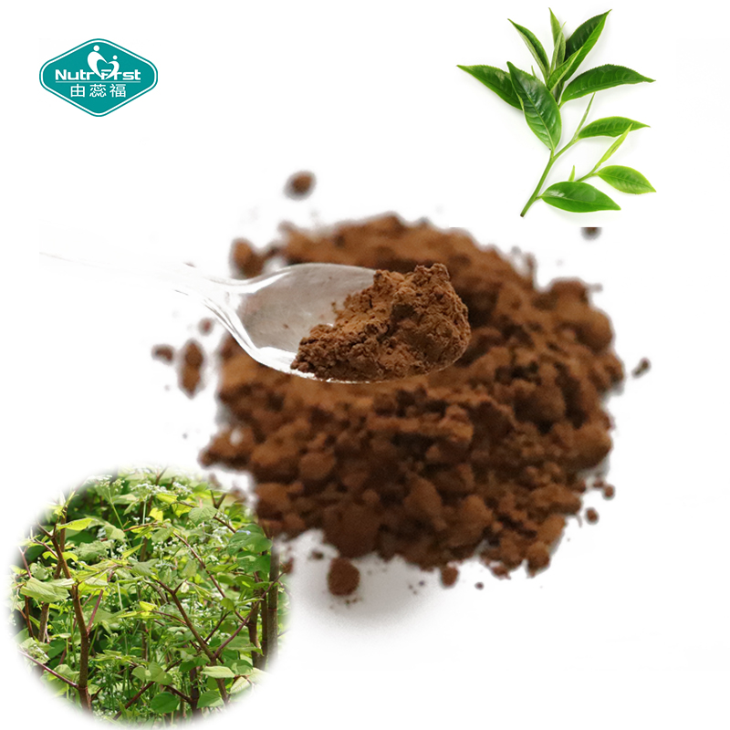 Nutrifirst High Quality Supplement Coco Herb Blend Water Soluble Powder