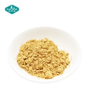 Materia prima de alta calidad, superalimento de hongos, Reishi Ganoderma Lucidum, extracto de hongo en polvo a granel