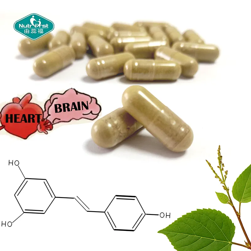 Nutrifirst OEM Anti-Aging and Cardiovascular Health Supplement Trans-Resveratrol Olive Leaf Extract Capsules