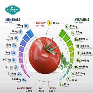 Nutrifirst Wholesale Food Grade Organic Spray Dried Tomato Extract Vegetable Powder with Bespoke Package
