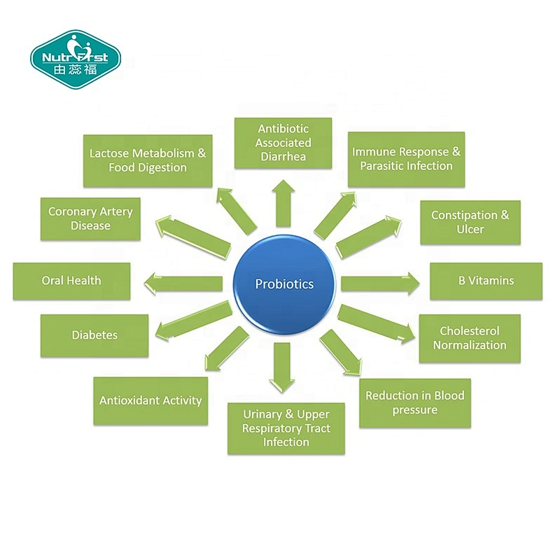 Gut Health Supplements Chewable Probiotics Pill 60 Billion CFU Probiotics Tablets for Support Digestion Function