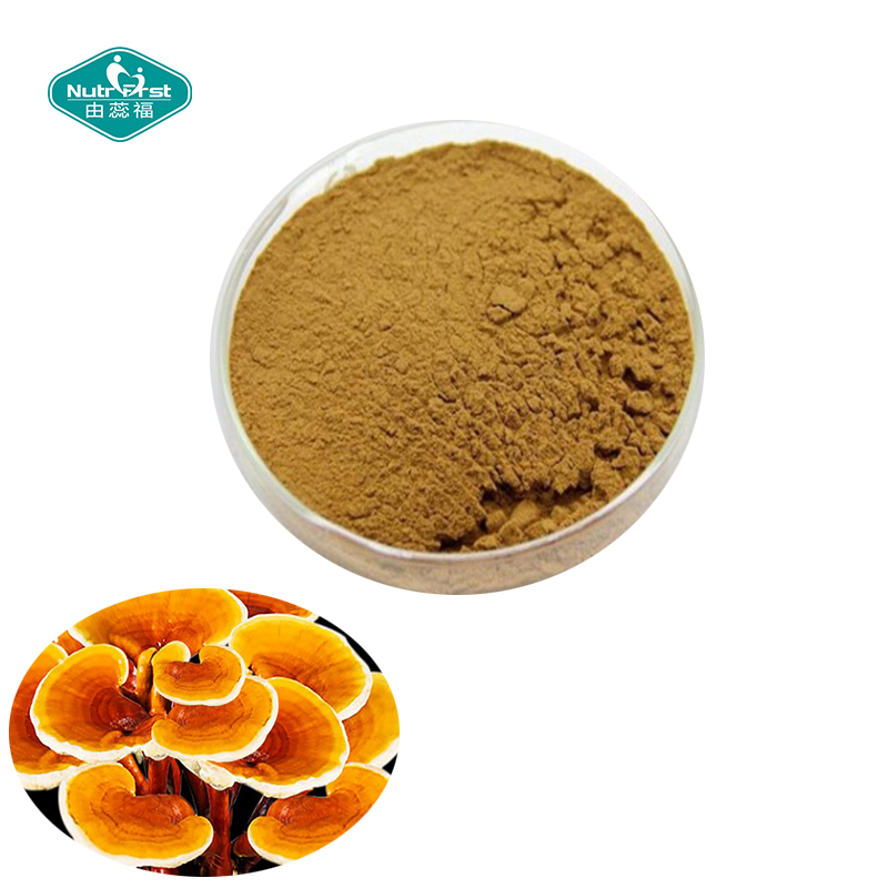 50% Polysaccharide Herbal Extarct Supplement Reishi Genuine Ganoderma Lingzhi Mushroom Herbal Extract Powder