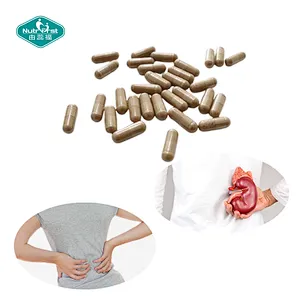 Private Label Manufacture OEM Benefits for Kidney Organic Dandelion Root Capsules