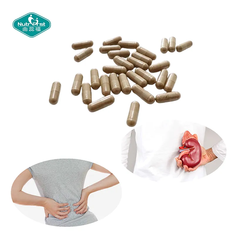 Private Label Manufacture OEM Benefits for Kidney Organic Dandelion Root Capsules