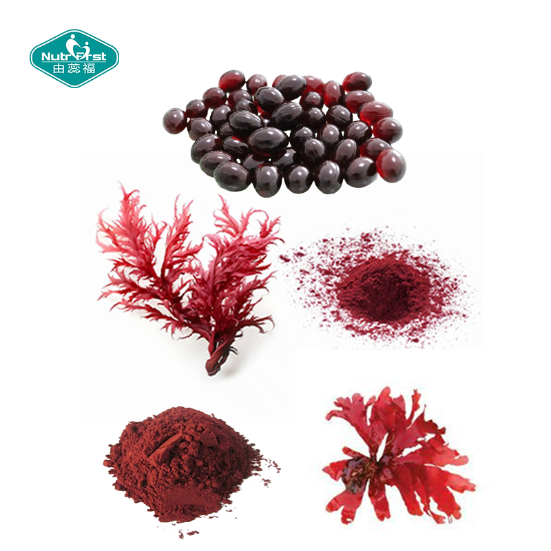 Nutrifirst Custom Customization OEM Benefits for Skin Eyes Joints Astaxanthin Softgel