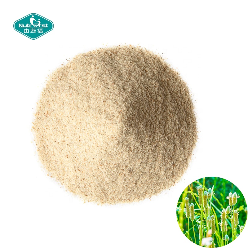 Nutrifirst Professional Factory Organic Bulk Psyllium Seed Husk Powder Extract Plantago Asiatica L.Extract