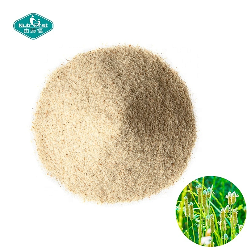 Nutrifirst Professional Factory Organic Bulk Psyllium Seed Husk Powder Extract Plantago Asiatica L.Extract