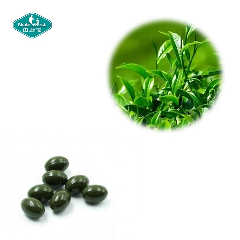 Suplemento dietético de gran venta, salud celular, extracto de té verde, miricetina, cápsula blanda a granel