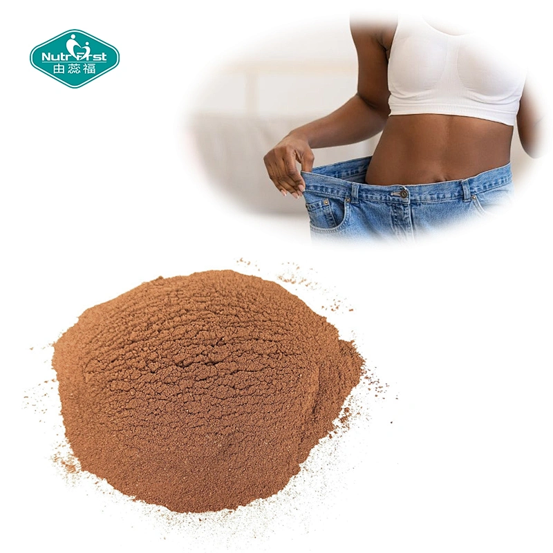 High Quality Food Grade 100% Natural Fruit Extract Weight Management Mangosteen Extract Powder in Bulk