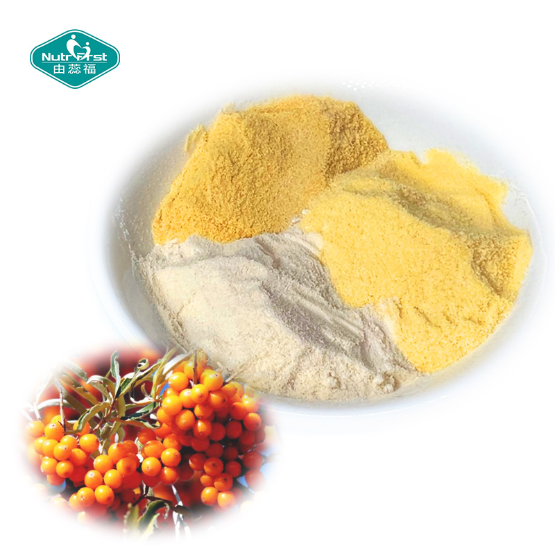 Venta al por mayor 100% hierba espino cerval de mar flavona liofilizada extracto de fruta de espino amarillo Hippophae Rhamnoides en polvo