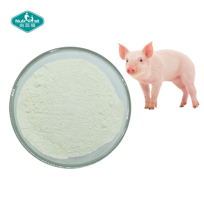 Health Supplements Joint Support Raw Material CAS 9082-07-9 Chondroitin Sulfate Powder From Bovine Porcine Chicken