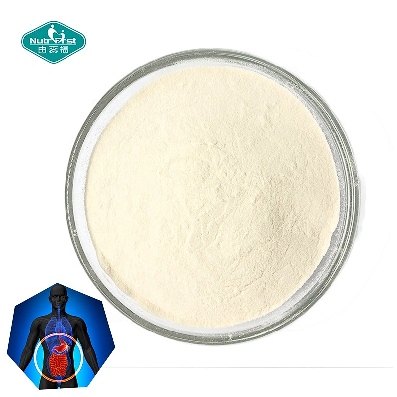 Nutrifirst Professional Manufacturer Supply Probióticos Premix Multi-Strains Suplementos Bebida instantánea en polvo