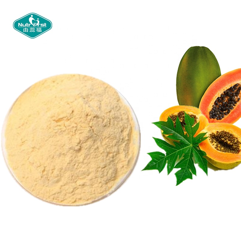 Fábrica profesional de extracto de hierbas, extracto de hoja de Pappaya, enzima de papaína, Chaenomeles Sinensis, polvo a granel