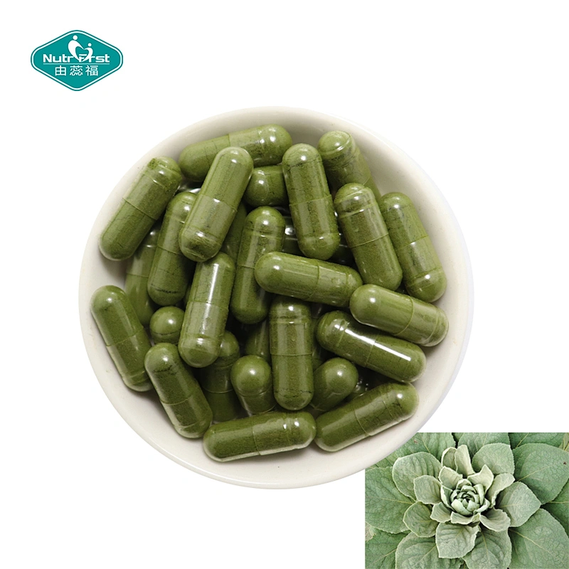 Nutrifirst Respiratory System Supplements Organic Mullein Leaf Herbal Extract Veg Capsules for Lung Cleanse Detox
