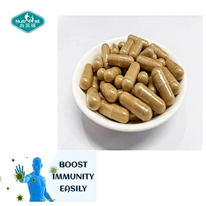 Hot Selling Immune Formulation Premius Mushroom Complex Garlic Astragalus Oregano Olive Leaf Extract Capsules