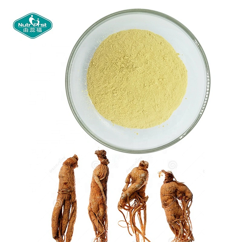 Nutrifirst Food Grade Ginseng Peptide Powder Water Soluble Ginseng Root Extract Small Molecule Peptide 98%