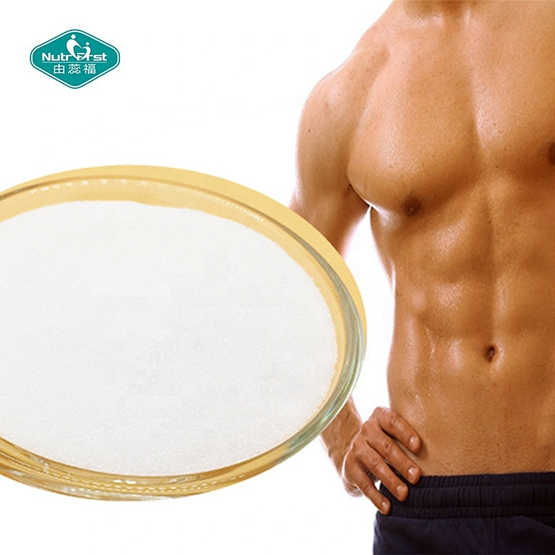 Nutrifirst Manufacturer Supply Supplement Powder Nutrition Water Protein Amino Acid BCAA Powder CAS 69430-36-0