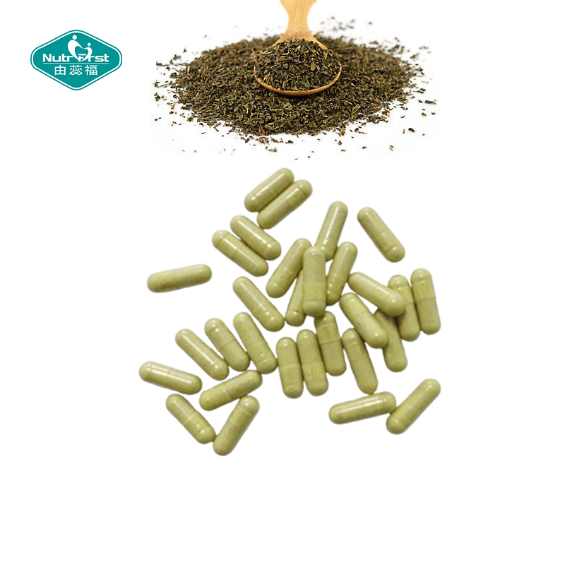 Nutrifirst Custom Customization OEM Spearmint Capsules