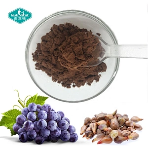 Plant Extract Factory Grape Seed Extract Polyphenols 80% Proanthocyanidin Powder 95% Grape Fruits Seed P.e.