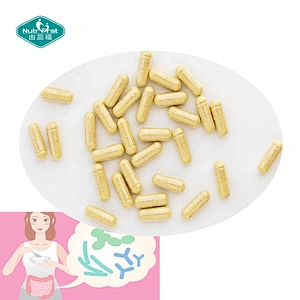 Formulación a medida Suplementos para la salud intestinal Enzimas digestivas más cápsulas de prebióticos para la salud intestinal