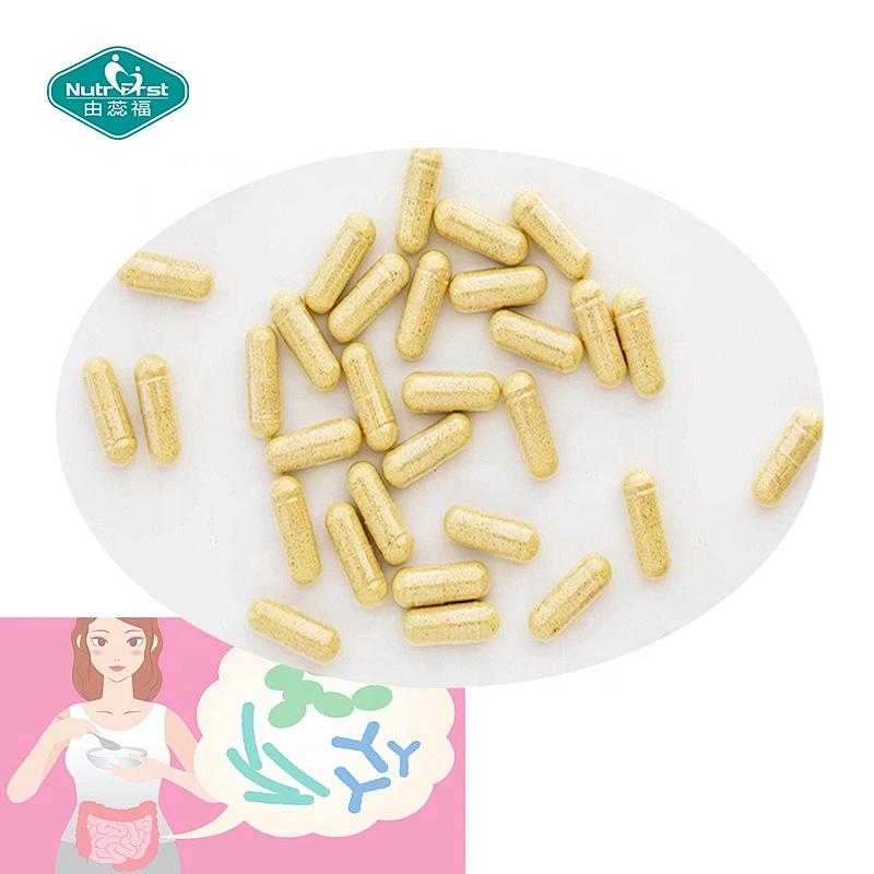 Formulación a medida Suplementos para la salud intestinal Enzimas digestivas más cápsulas de prebióticos para la salud intestinal