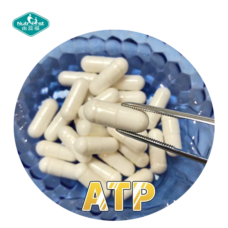 Polvo de D-ribosa personalizado personalizado CAS 50-69-1Pill Veggie Capsule promueve la recuperación muscular y del entrenamiento