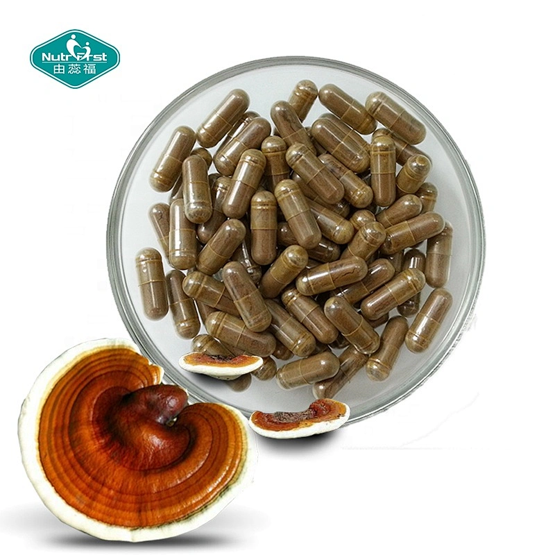 Fórmula a medida, suplemento cerebral nootrópico, extracto de Cordyceps Militaris, cápsulas de refuerzo de memoria de hongo Reishi