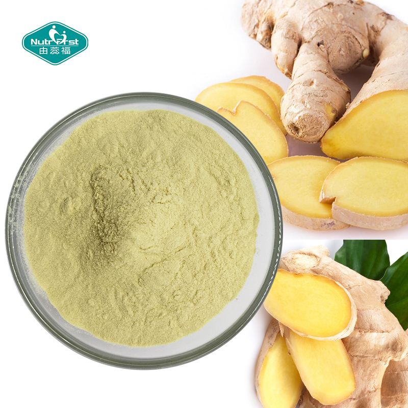 Aditivos alimentarios Nutrifirst Polvo de raíz de jengibre soluble en agua instantáneo orgánico Gingerol Extracto de jengibre negro