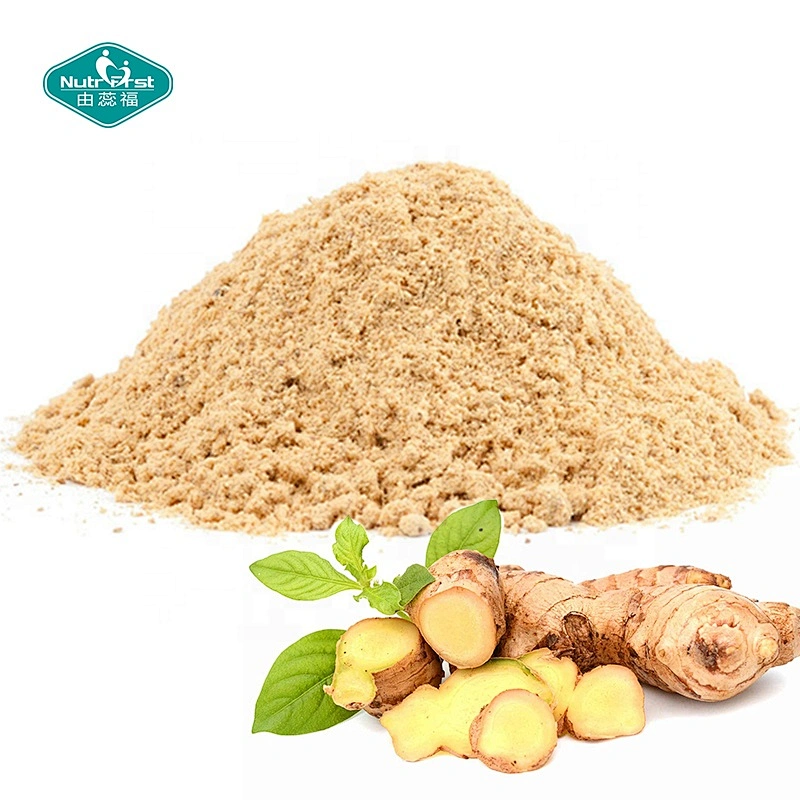 Nutrifirst Bulk Water Soluble Instant Gingerol Ginger Root Extract Powder Dry Gingerol Powder 1% Gingerols