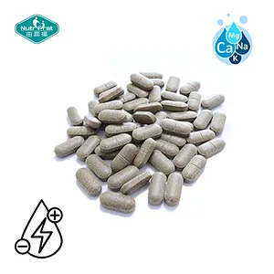 Nutrifirst Electrolyte Tablet Dietary Supplements Multivitamins and Minerals Support Energy Metabolism