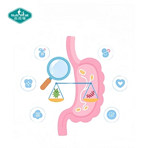 Probióticos personalizados de marca privada OEM Nutrifirst para tabletas de apoyo a la salud digestiva