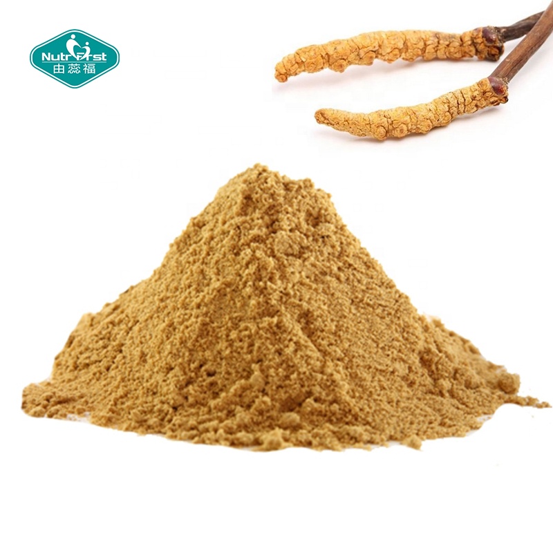 Nutrifirst Supply Polvo de extracto de polisacárido de hongo Cordyceps orgánico Cordyceps Militaris Sinensis