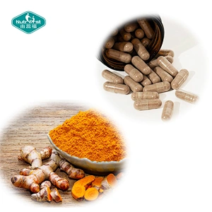 Health Supplement Customized Support Respiratory Tract System Freeze Dried Nettle Leaf Vegan Capsules for Allergens