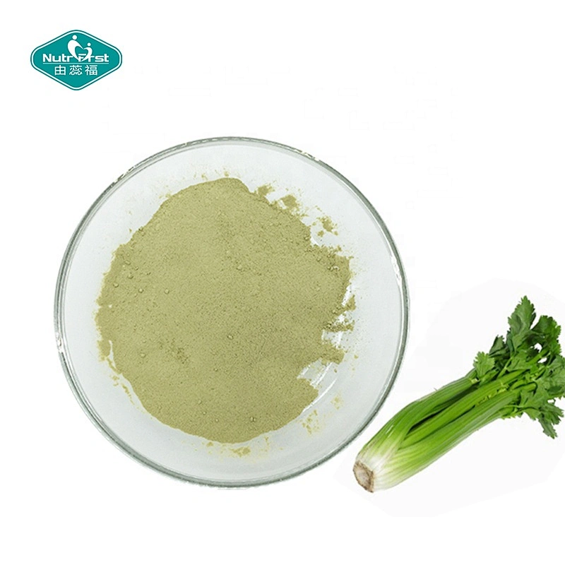 Vegetable Extract Professional Factory Organic Pure Instant Spray Dried Celery Juice Powder for Food Additive