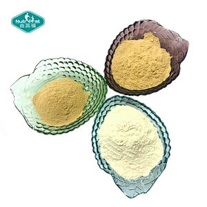 Factory Supplies Organic Monk Fruit Sweetener Extract Powder Luo Han Guo Extract Mogroside V 25% 60%