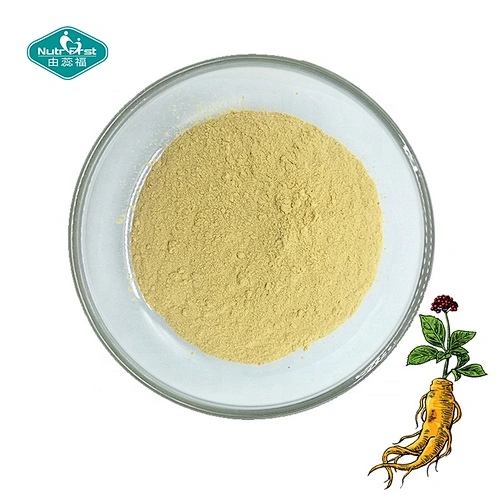 El extracto de hierbas apoya la función inmunológica Extracto de Panax Ginseng en polvo para el estado de ánimo Función cognitiva Energía y estrés